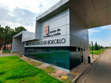 espana/castilla-y-leon/20260824/innovacion-castilla-leon-despega-record-historico-gasto-id-factura-20600-millones_451596