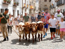 espana/castilla-la-mancha/20260824/encierro-infantil-bueyes-desata-polemica-llega-fiscalia-menores_451783