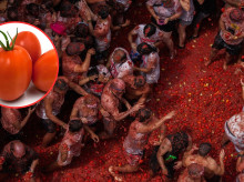 espana/comunidad-valenciana/20260826/tomatina-bunol-son-comestibles-120000-kilos-tomate-pera-lanzan-batalla-festiva_451742