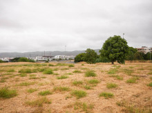 espana/la-voz-de-cordoba/actualidad/20260825/parque-ponientemiralbaida-cordoba-echa-andar-45-millones-inversion-763-nuevos-arboles_452010