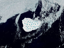 ciencia/20260825/nasa-capta-desde-espacio-gigantesco-iceberg-groenlandia-cinco-veces-mayor-central-park_452135
