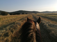 campo-y-caza/20260829/ronda_452666