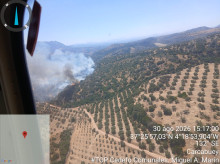 espana/la-voz-de-cordoba/provincia/20260830/declarado-incendio-forestal-paraje-canada-hornillo-carcabuey_453578