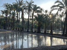 espana/comunidad-valenciana/20260831/elche-impulsa-seguridad-ambiental-nuevo-plan-director-agua-regenerada-riego-urbano_453802