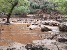 sociedad/sociedad-medio-ambiente/20260831/dos-muertos-menos-15-desaparecidos-inundacion-repentina-gran-canon-arizona_453950