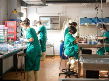 espana/castilla-la-mancha/20260902/uclm-busca-nuevos-investigadores-ramon-cajal-atraer-talento-invertir-castilla-mancha_454071