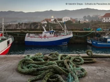 sociedad/20260902/cofradia-pescadores-santa-ana-premio-pueblo-ejemplar-asturias_454442