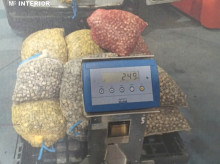 espana/galicia/20260902/control-madrugada-acaba-434-kilos-marisco-decomisados-grove_454510