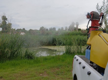 espana/comunidad-valenciana/20260902/diputacion-castellon-destaca-trabajo-efectivo-servicio-control-mosquitos-provincia_454524