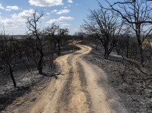 espana/madrid/20260903/madrid-restringe-acceso-doce-montes-mientras-retira-arbolado-afectado-gran-incendio_454943