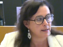 espana/galicia/20260903/galicia-mi-pais-delirio-eurodiputada-permitido-parlamento-europeo_455151