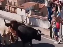 espana/castilla-la-mancha/20260905/muere-mujer-corneada-toro-encierro-ayna-albacete_455750