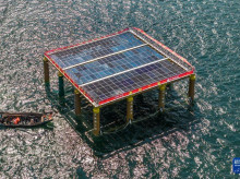 sociedad/sociedad-medio-ambiente/20260908/china-estrena-primera-planta-solar-flotante-bambu-mundo_456090