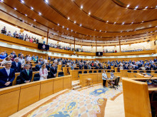 espana/20260908/sesion-plenaria-senado-directo_456322