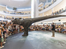 espana/comunidad-valenciana/20260908/dinosaurios-toman-saler-jurassic-days-llega-septiembre-experiencia-toda-familia_456477