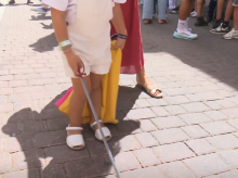espana/madrid/20260908/madrid-lleva-ante-defensor-pueblo-planes-taurinos-infantiles-fiestas-sanse_456678