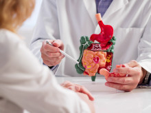 salud-y-bienestar/salud/20260910/bacteria-comun-podria-estar-relacionada-22-casos-cancer-intestino_456883
