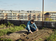 sociedad/sociedad-medio-ambiente/20260913/huertos-urbanos-pueden-reducir-temperatura-hasta-284-c-ciudades-europeas_456991