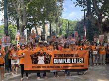 sociedad/sociedad-medio-ambiente/20260914/presion-ayuntamientos-cumplan-ley-bienestar-animal-toda-espana-gatos-tienen-ley_457432