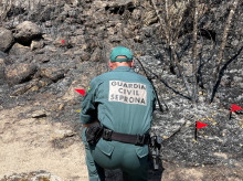 espana/castilla-y-leon/20260910/guardia-civil-investiga-tres-personas-fuera-zamora-provocar-incendio-forestal-fermoselle_457429