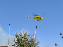 espana/la-voz-de-cordoba/actualidad/20260910/bomberos_457540