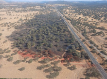 espana/la-voz-de-cordoba/provincia/20260913/coche-ardiendo-provoca-incendio-carretera-badajoz_458313