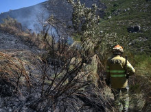 sociedad/sociedad-medio-ambiente/20260914/incendio-tornavacas-caceres-evoluciona-favorablemente-mientras-mantiene-desplegado-amplio-dispositivo_458623
