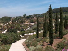 espana/cataluna/barcelona/20260917/tesoro-botanico-barcelona-escondio-durante-tres-siglos-ahora-puede-visitar_458655