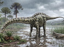 ciencia/20260915/hallan-teruel-primer-diplodocus-fuera-norteamerica_458833