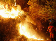 espana/galicia/20260916/20-hectareas-calcinadas-incendio-montana-lugo-complica-continuos-cambios-viento_459225