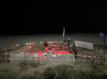 espana/comunidad-valenciana/20260916/nacen44-crias-tortuga-marina-playa-localidad-alicantina-campello_459520