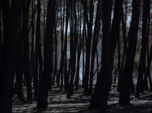 sociedad/sociedad-medio-ambiente/20260918/lluvia-sobre-cenizas-espana-alerta-ante-riesgo-erosion-riadas-zonas-incendiadas_459845