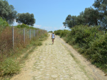 historia/20260917/no-todos-caminos-llevaban-roma-estudio-revela-otras-ciudades-estaban-mejor-conectadas_459949