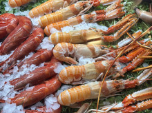 estilo-vida/restaurantes/20260919/clasico-restaurante-barrio-salamanca-chuparse-dedos-marisco_460117