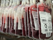 sociedad/20260920/testigos-jehova-cambian-postura-sobre-transfusiones-sangre-ahora-cada-fiel-decidira_460752