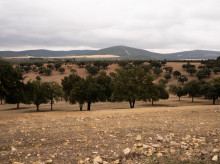 campo-y-caza/20260922/furtivos_460907