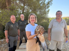 espana/castilla-la-mancha/20260921/dos-pollos-milano-real-caen-nido-albacete-rescate-termina-mejor-noticia_461048