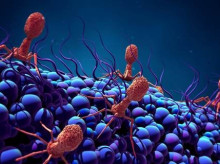 sociedad/20260923/cientificos-espanoles-logran-eliminar-infeccion-multirresistente-provocada-herida-guerra_461840
