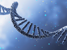ciencia/20260923/ciencia-identifica-momento-tierra-pudo-estar-preparada-surgiera-vida_462021