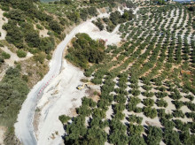 espana/la-voz-de-cordoba/provincia/20260923/junta-recupera-trafico-carretera-entre-priego-cordoba-algarinejo_462097