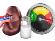 salud-y-bienestar/salud/20261004/como-procesan-rinones-sal-aumenta-riesgo-infartos-e-ictus_462181