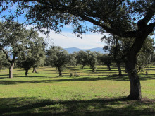 espana/la-voz-de-cordoba/provincia/20260925/programa-conoce-provincia-oferta-este-ano-16-rutas-toda-cordoba_462774