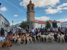 espana/la-voz-de-cordoba/provincia/20260928/ruraleando-convierte-anora-escaparate-cultura-tradiciones-pedroches_463750