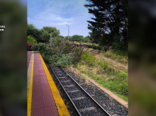 espana/galicia/20260929/investigan-persona-sabotear-linea-tren-galicia-llego-talar-pino-tirarlo-sobre-vias_463865