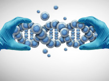 salud-y-bienestar/salud/20261001/primer-farmaco-probado-animales-logra-prolongar-vida-25_464507