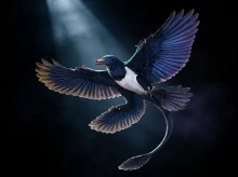 ciencia/20260930/extrano-dinosaurio-plumas-cambiaria-todo-sabiamos-sobre-como-surgieron-alas_464606