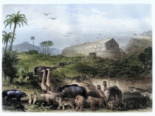 ciencia/20261001/realmente-han-encontrado-arca-noe-hallazgo-cientifico-turquia-reabre-misterio-biblico_464621