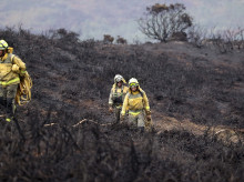sociedad/sociedad-medio-ambiente/20261001/superficie-forestal-quemada-espana-supera-barrera-300000-hectareas_464820