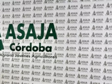 espana/la-voz-de-cordoba/actualidad/20261001/junta-admite-quinta-dimision-comite-ejecutivo-asaja-cordoba_464978