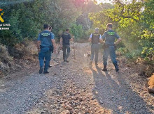 espana/la-voz-de-cordoba/actualidad/20261002/imputado-matar-halcon-abejero-termino-municipal-cordoba_465251